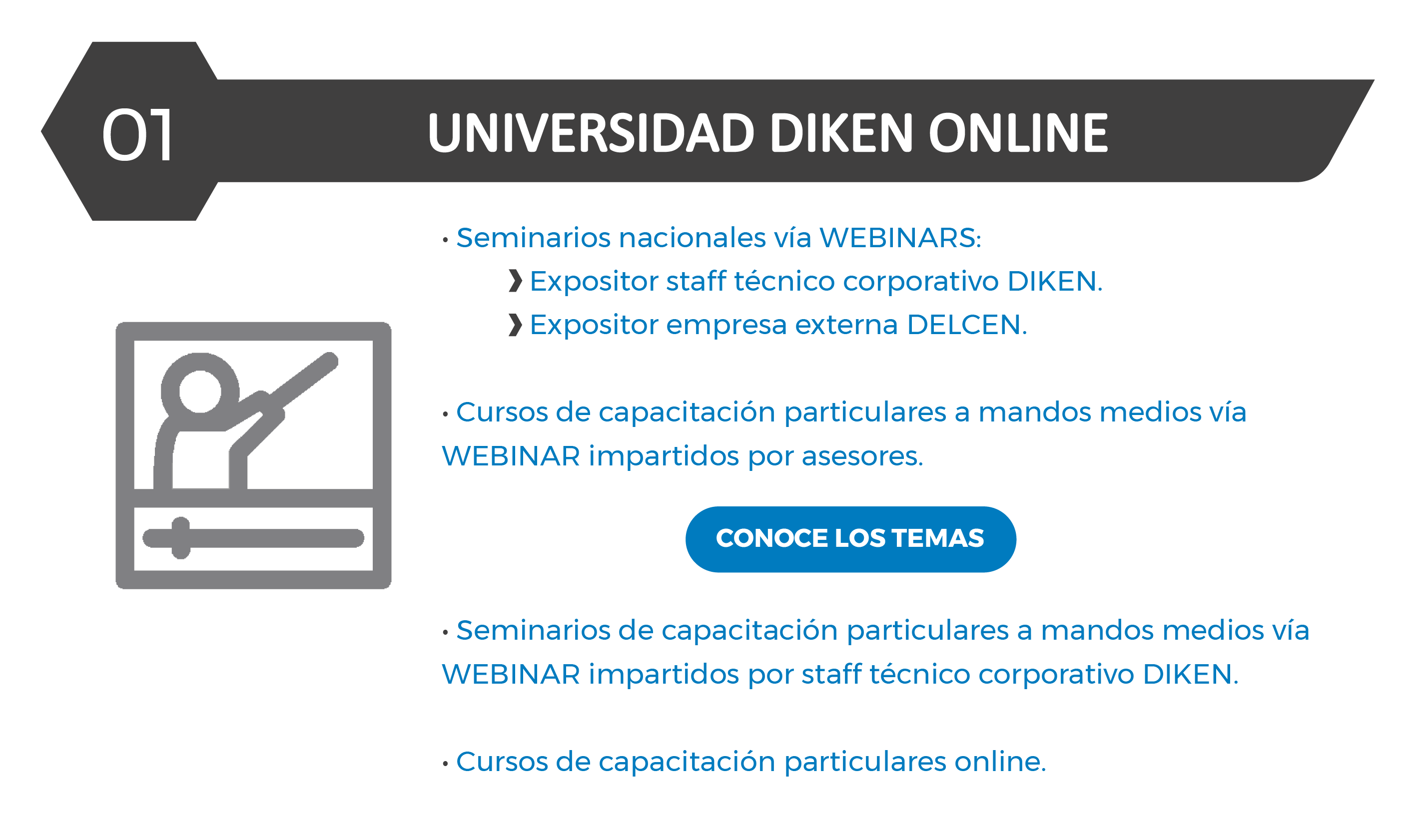 Universidad Diken Online